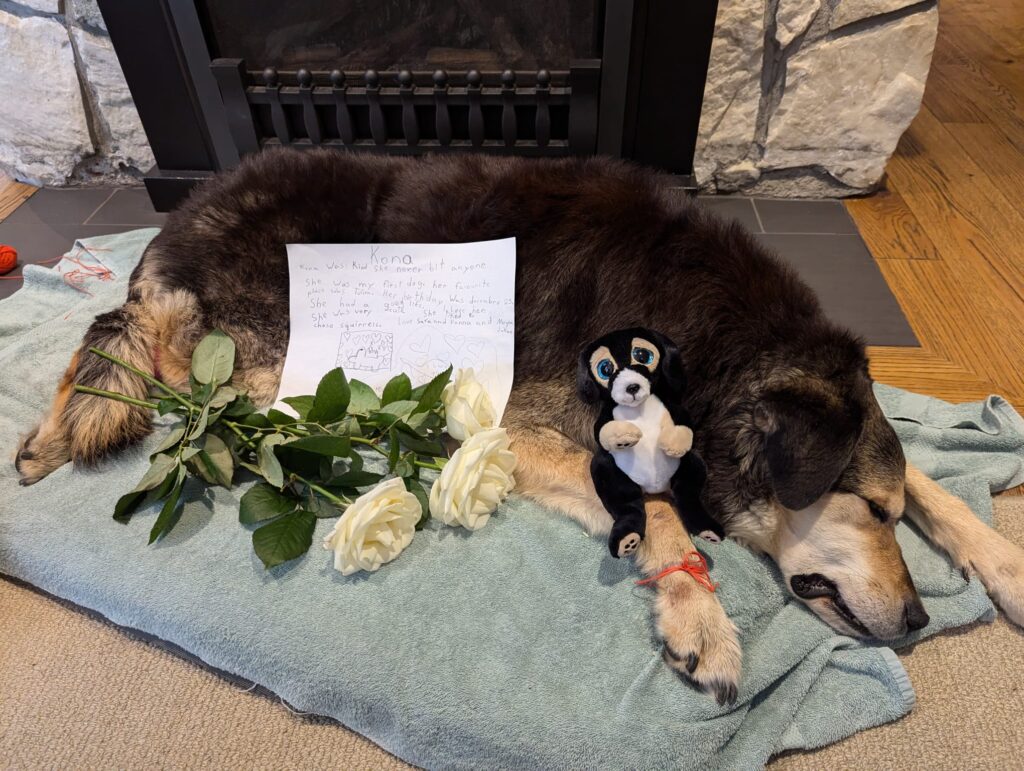 Pet Crematorium – Gentle Goodbye with Loving Support