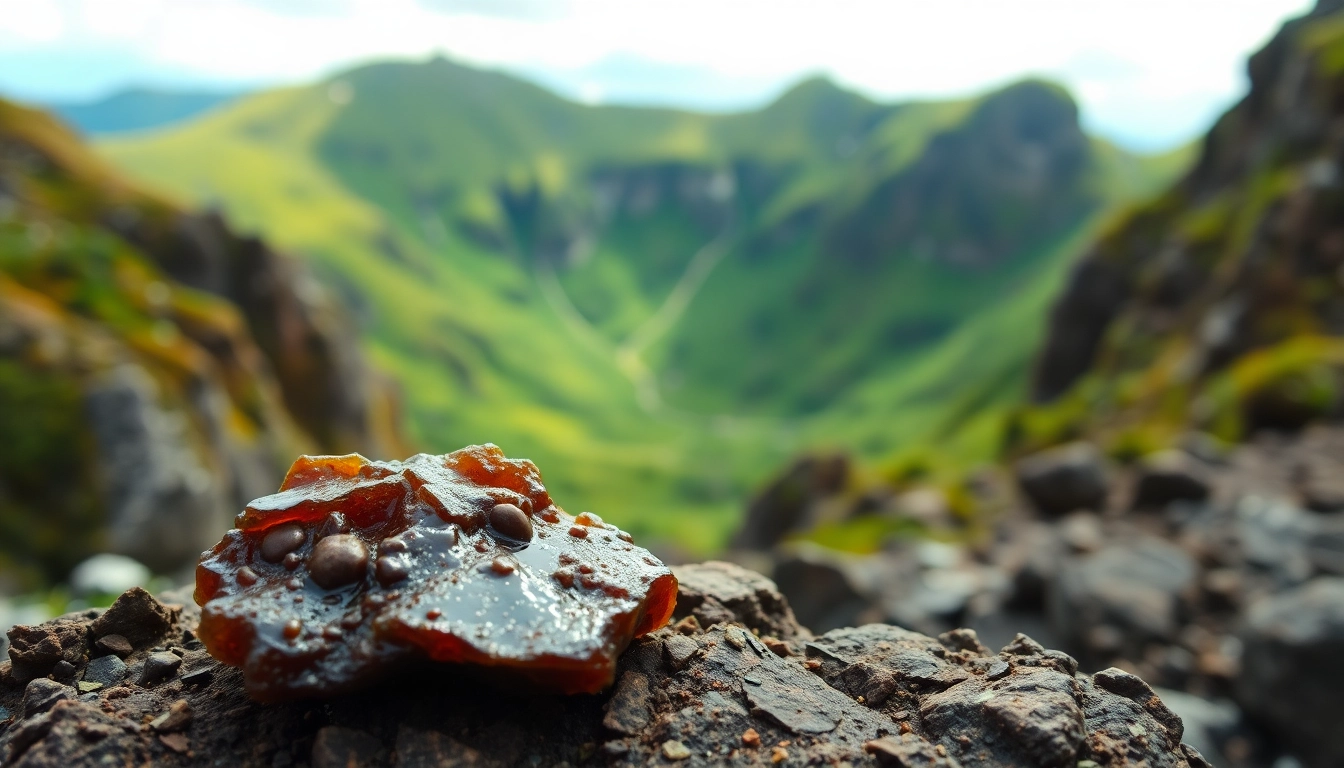 shilajit uk