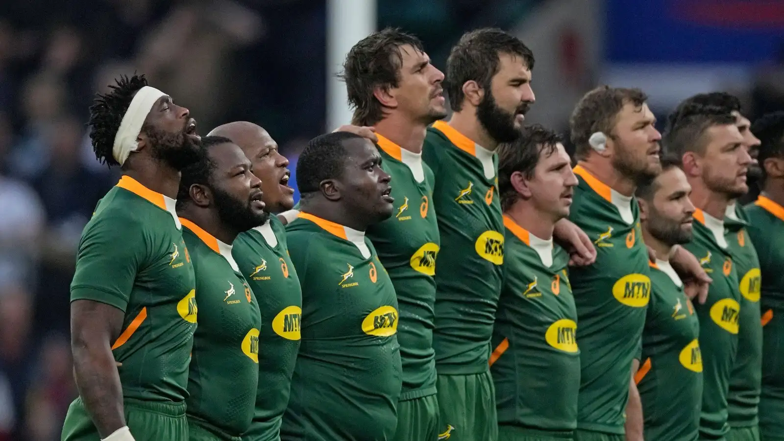 springbok fixtures