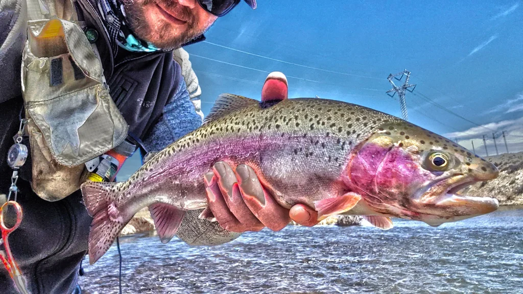 fly fishing net