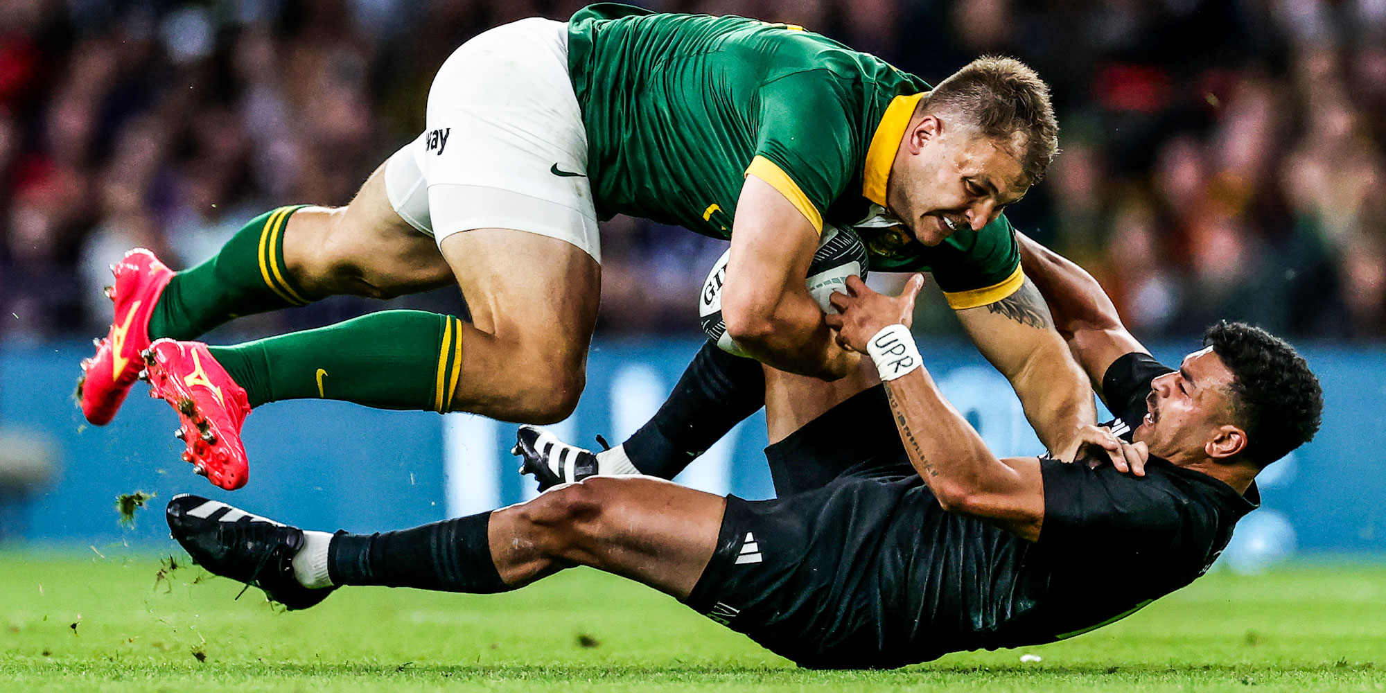 springboks vs new zealand
