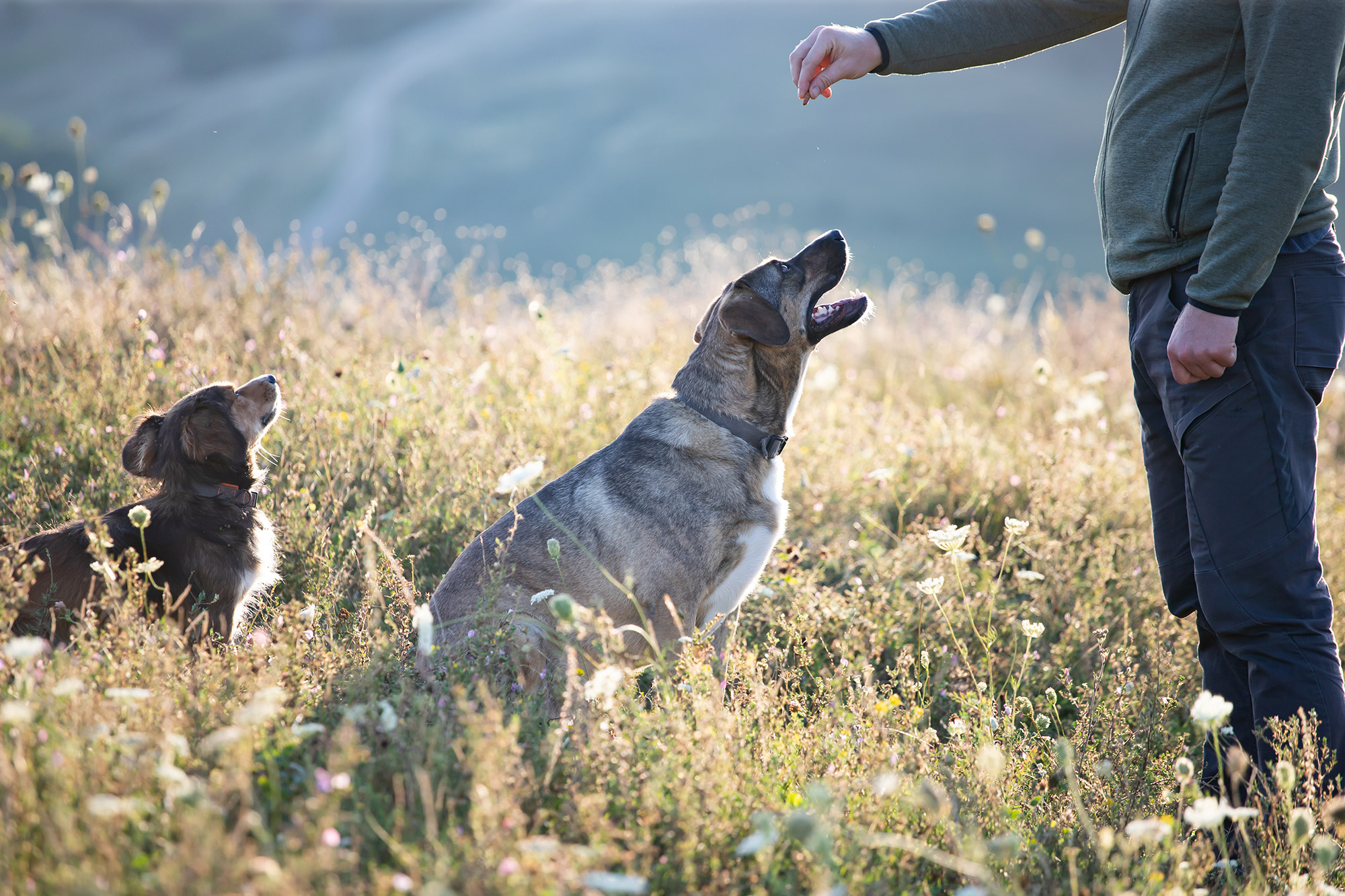 5 Rewarding Behaviour Modification Wins: Transform