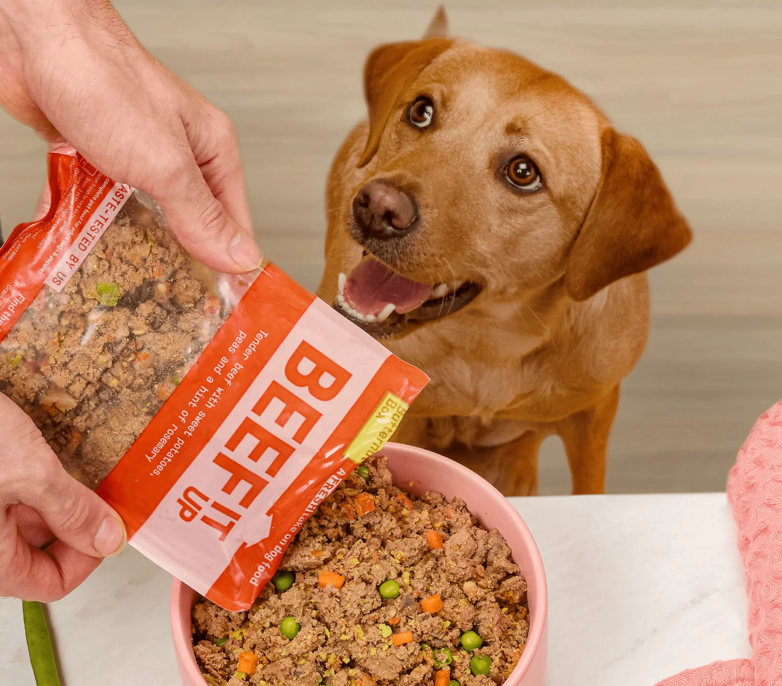 Dog food