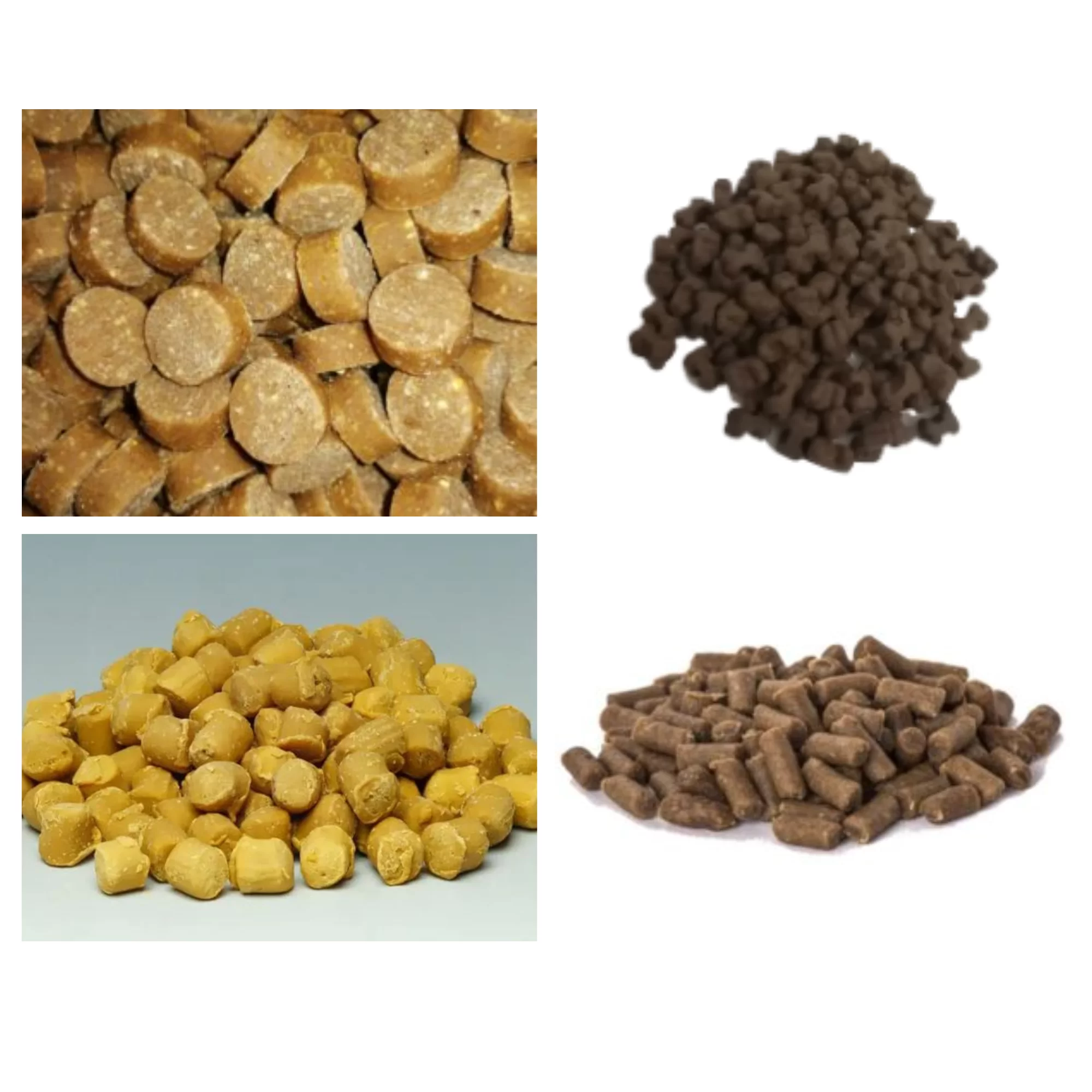 Natural Dog Treats That Boost Health & Happiness Fast
