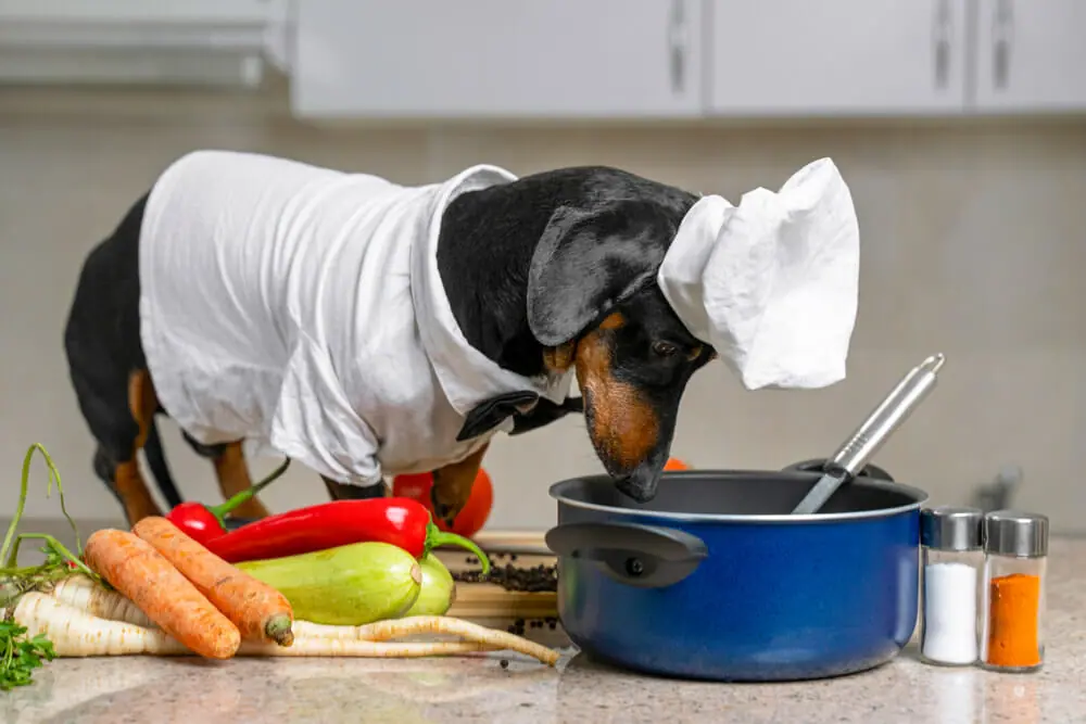 7 Proven Benefits of Badlands Ranch Dog Food Canada