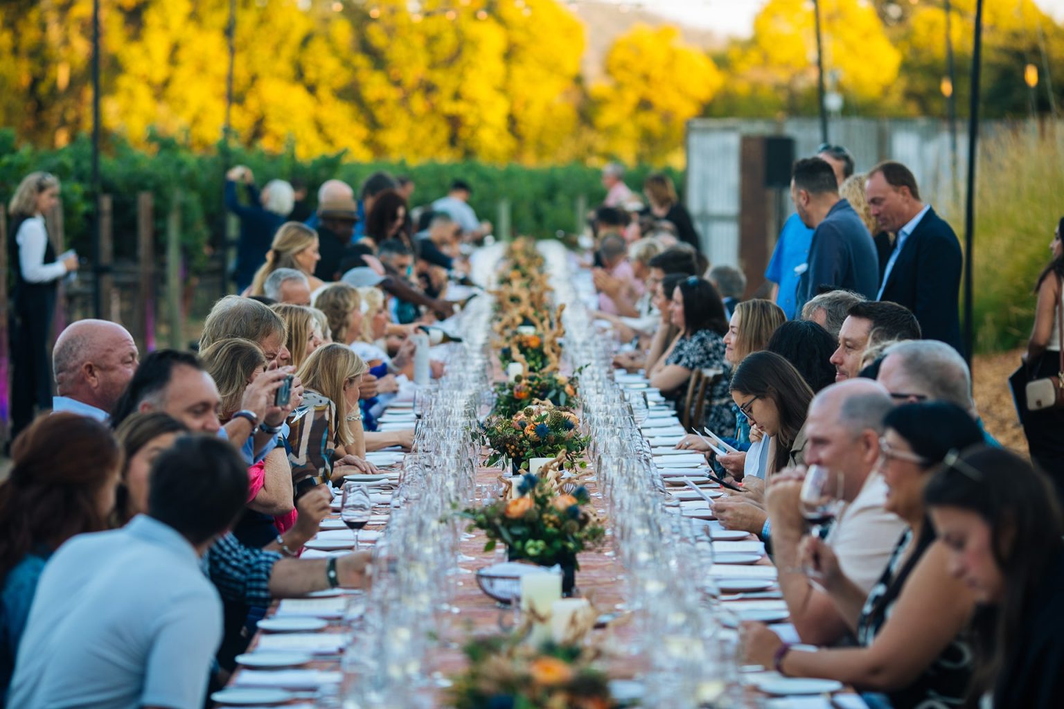 Plan the Perfect Wine Adventure in Clarksburg CA
