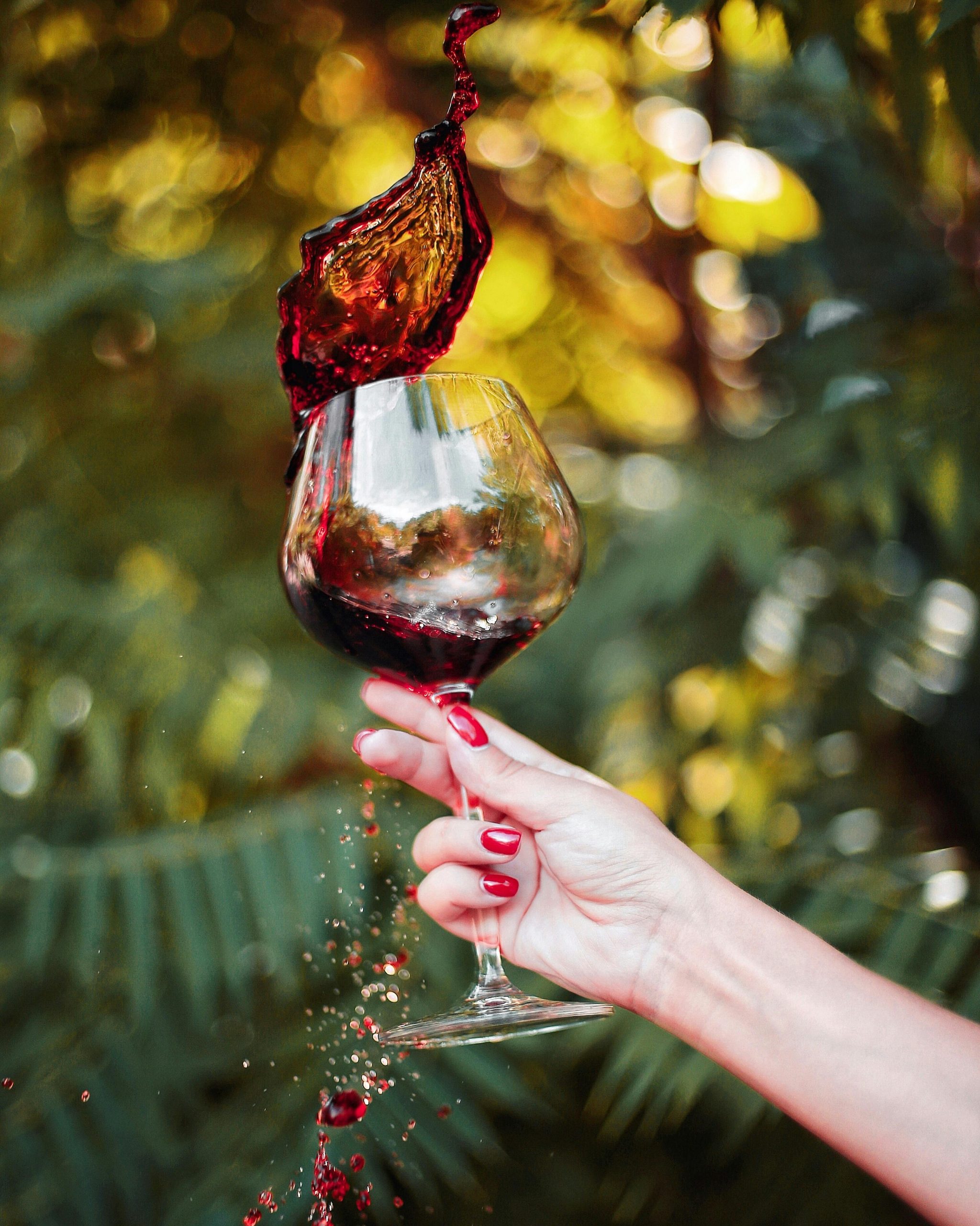 Clarksburg Wineries: Unforgettable Tasting Experiences