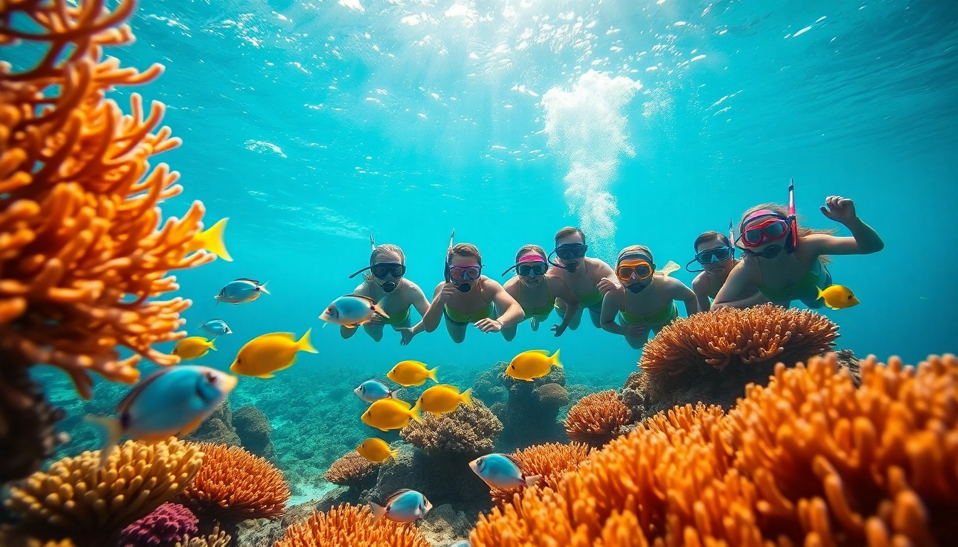 Turtle Snorkel 6 Amazing San Juan Rum Tours Daily