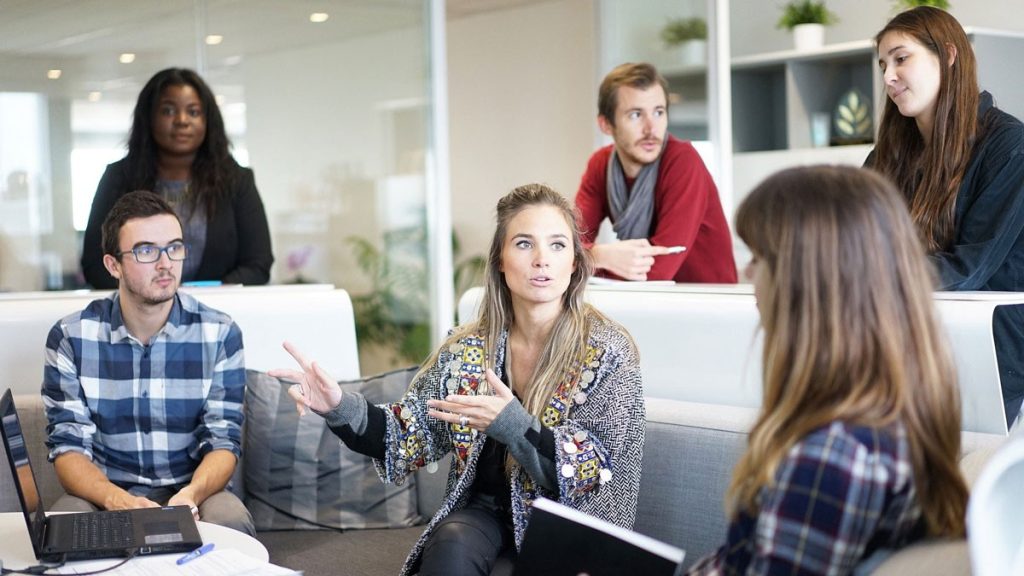 Link Building Agency