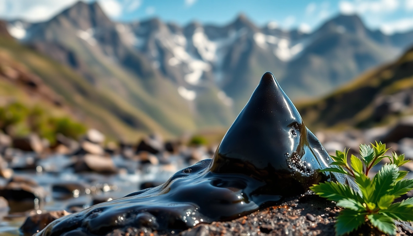 Himalayan Power Shilajit – Natural Vitality in Australia