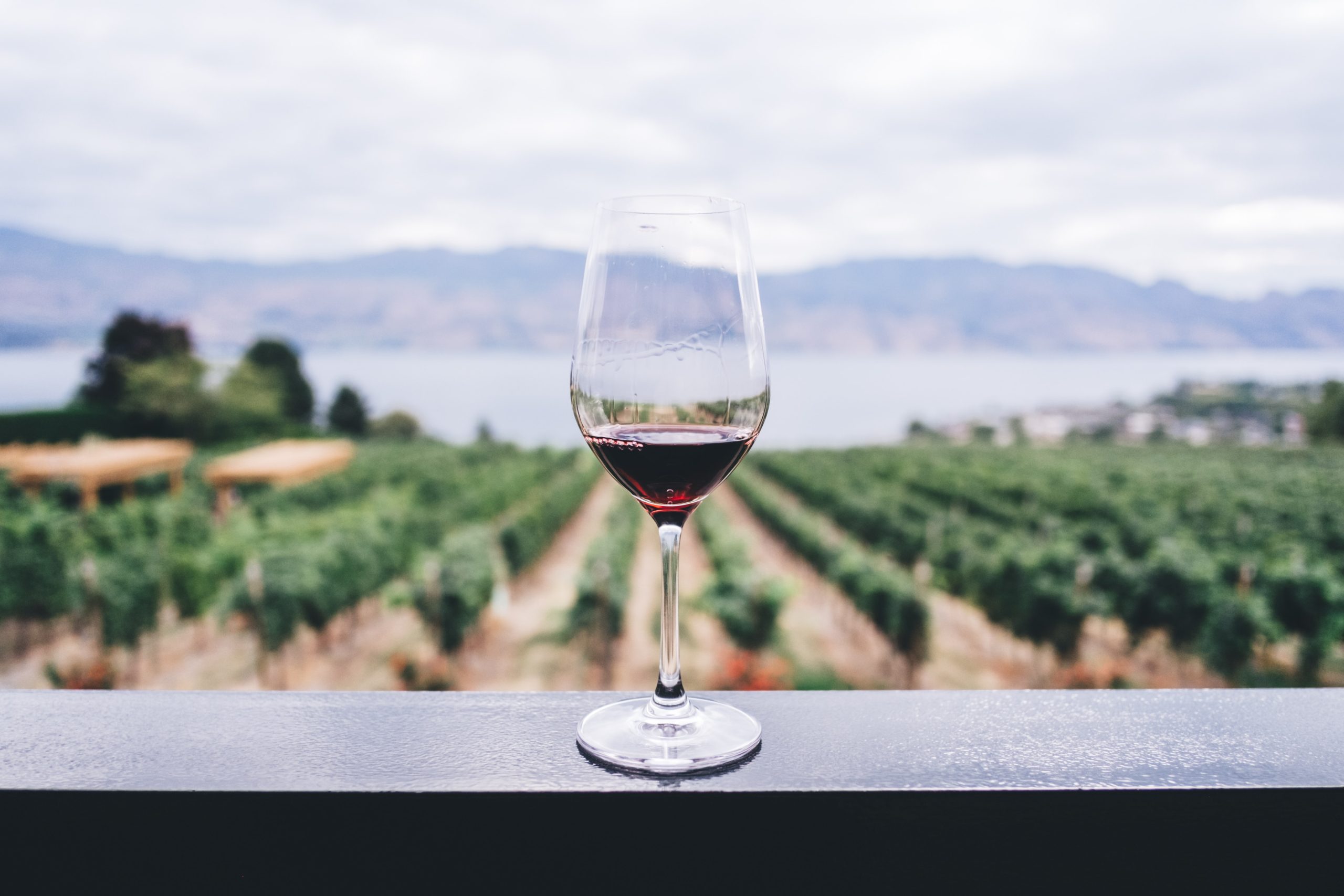 Winery Sacramento – Experience Exceptional Wines and Local