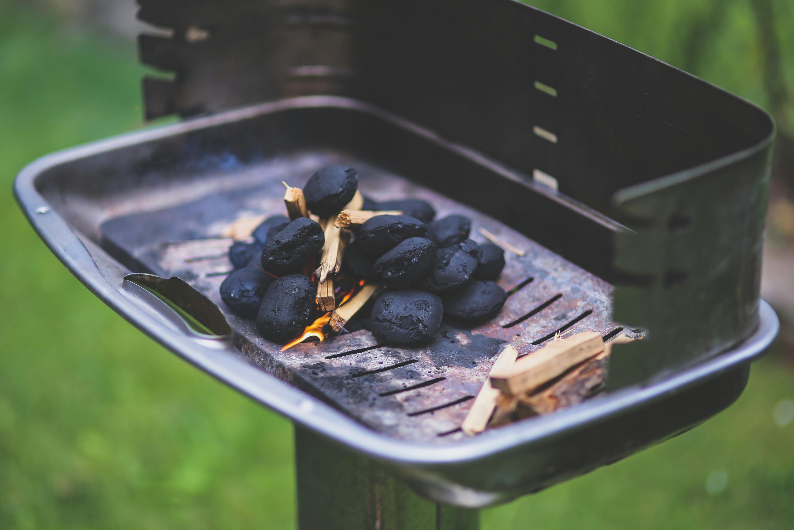6 Firewood Choices for Cozy and Efficient Heating